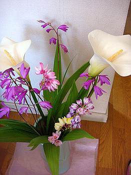 dsc02693_thumb.jpg