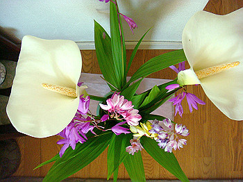 dsc02697_thumb.jpg