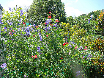 dsc02702_thumb.jpg