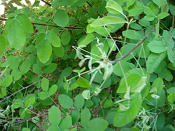 dsc02715_thumb.jpg