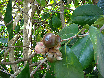 dsc02717_thumb.jpg