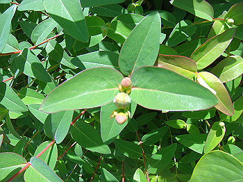 dsc02719_thumb.jpg