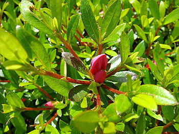 dsc02722_thumb.jpg