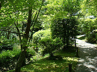 dsc03363_thumb.jpg