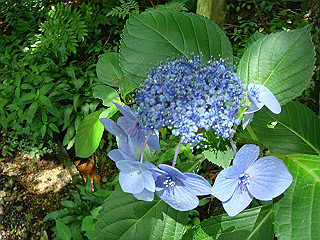 dsc03364_thumb.jpg