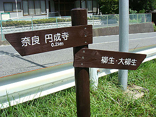 dsc03378_thumb.jpg