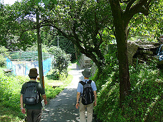dsc03379_thumb.jpg