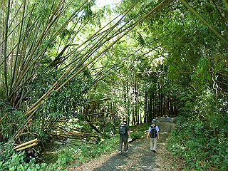 dsc03383_thumb.jpg