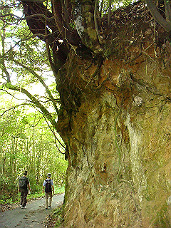 dsc03388_thumb.jpg