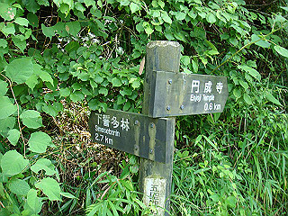 dsc03389_thumb.jpg