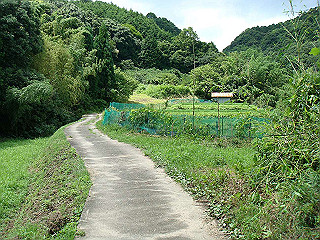 dsc03393_thumb.jpg