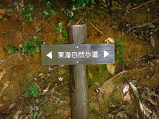 dsc03395_thumb.jpg