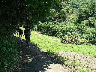 dsc03396_thumb.jpg
