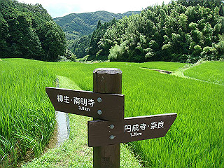 dsc03399_thumb.jpg