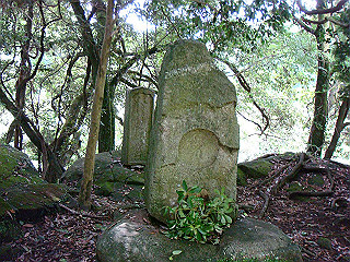 dsc03411_thumb.jpg