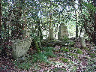 dsc03412_thumb.jpg