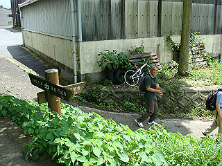 dsc03417_thumb.jpg