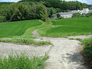 dsc03422_thumb.jpg