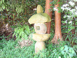 dsc03432_thumb.jpg