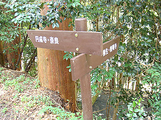 dsc03433_thumb.jpg