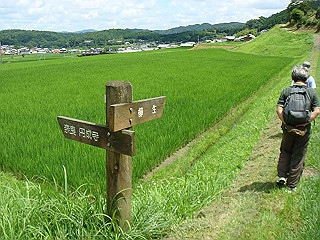 dsc03440_thumb.jpg
