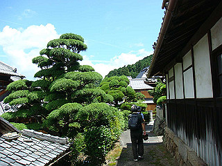 dsc03450_thumb.jpg