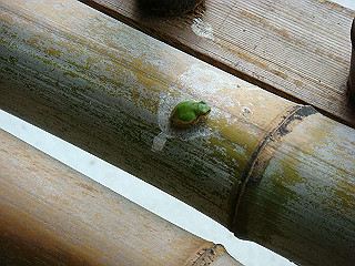 dsc03458_thumb.jpg