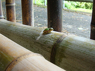 dsc03460_thumb.jpg