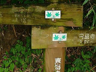 dsc03463_thumb.jpg