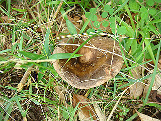 dsc03475_thumb.jpg