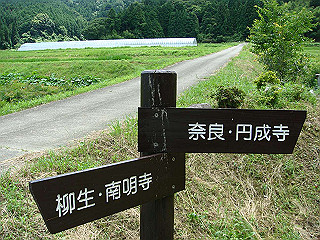 dsc03481_thumb.jpg