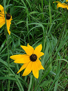 dsc03485_thumb.jpg