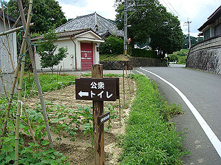 dsc03495_thumb.jpg