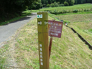 dsc03498_thumb.jpg