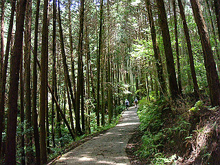 dsc03507_thumb.jpg