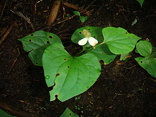 dsc03508_thumb.jpg