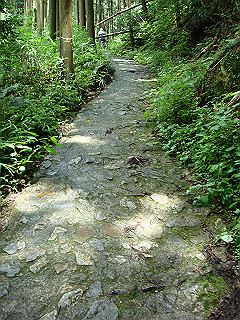 dsc03511_thumb.jpg