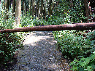 dsc03512_thumb.jpg