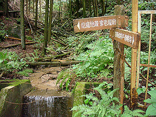 dsc03513_thumb.jpg