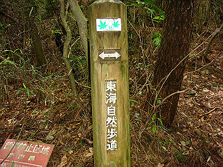 dsc03515_thumb.jpg