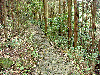 dsc03522_thumb.jpg