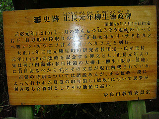 dsc03526_thumb.jpg