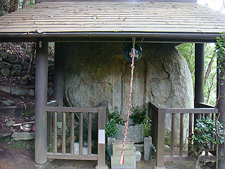 dsc03527_thumb.jpg