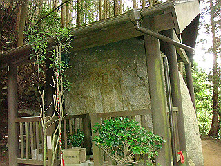 dsc03530_thumb.jpg