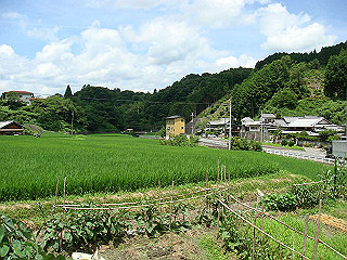 dsc03534_thumb.jpg