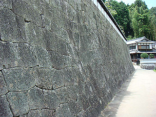 dsc03550_thumb.jpg