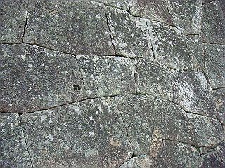 dsc03551_thumb.jpg