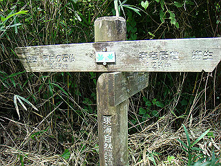 dsc03560_thumb.jpg