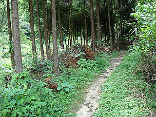 dsc03561_thumb.jpg