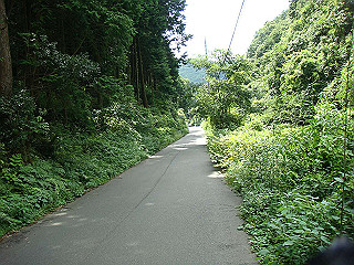 dsc03569_thumb.jpg